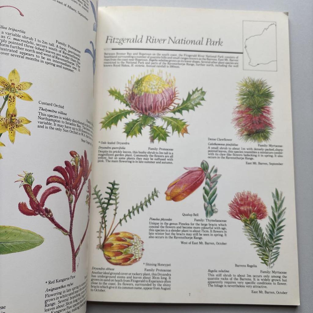 [USED] Wildflowers of Western Australia
