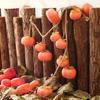 80cm Simulation Persimmon Fruit 8 Fruit Persimmon Pendant Artificial Persimmon  Restaurant