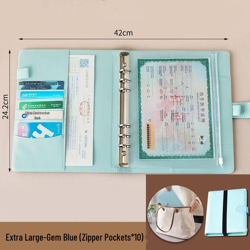 Portable Document Organizer: Card Holder, Vaccine Book, Birth Certificate, Passport, and ID Storage Bag.