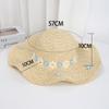 New Lafite straw hat hand-woven flower hat women's summer vacation seaside big eaves sun protection beach hat