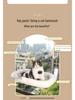 Cat Hammock: Window-Mounted Suction Cup Bed for Kittens