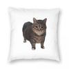 Oiia Oiia Spinning Cat Pillowcase Polyester Linen Velvet Pattern Zip Decorative Throw Pillow Case Room Cushion Cover x