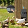 Solar-Powered Automatic Chicken Door: Waterproof Aluminum with Timer & Light Sensor for Coops & Pets