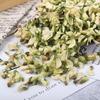 Sophora Tea Natural Dried Flowers Green Select Healthy 500g