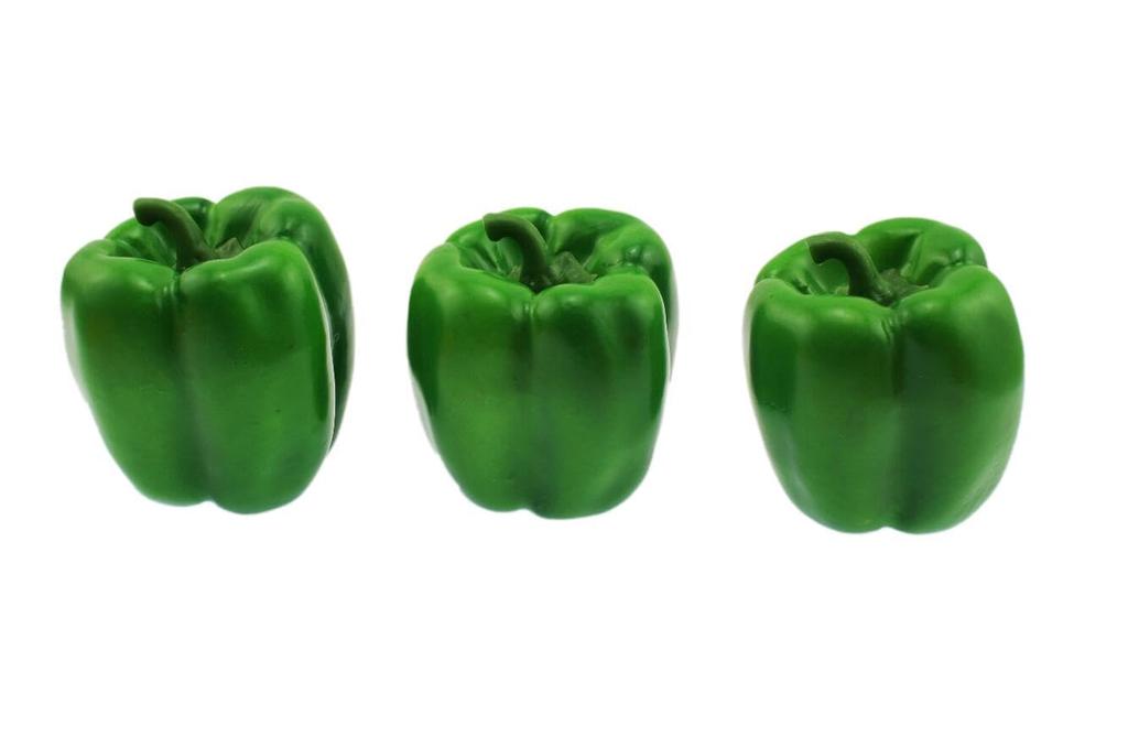 Speed Mao Lifelike Paprika and Bell Pepper Food 3 Set of 9 Realistic, Samples, Colors,