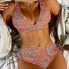 1011 New Unique and Beautiful Swimsuit Seaside Bikini Sexy European and American Split Swimsuit Huludao