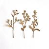  Flower Plant Die Cut For Card Making Scrapbooking Carbon Steel Cutting Die