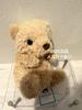 [USED] Jellycat Plush Toy Yummy Bear Teddy Bear