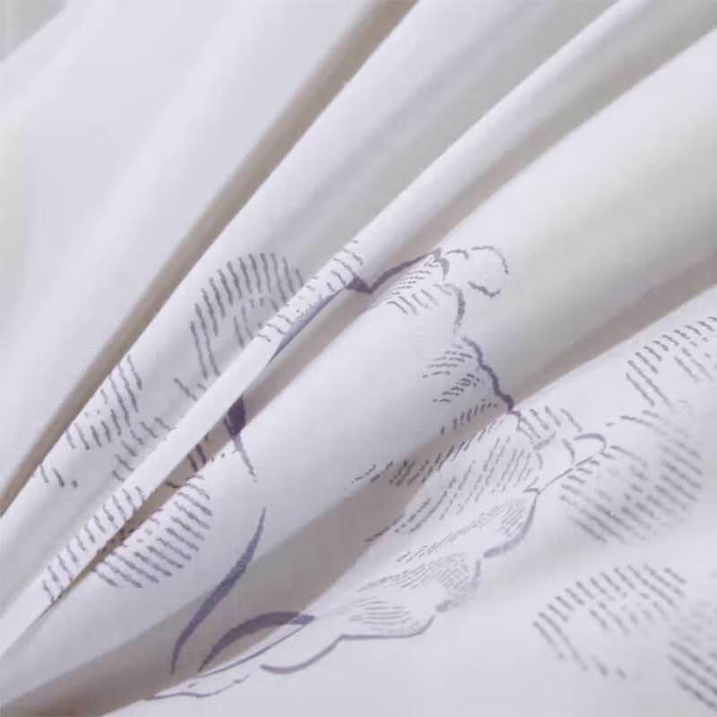 Youmengjiaju Winter Warm Wool Duvet