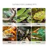 Plastic Insect Capture Tongs For Reptiles Care Feeder Pliers Clear Ergonomic Tool Gentle Feeding Solution Easy Cleaning