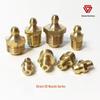 Brangdy Copper Grease Nipple Kit