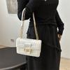 Fashion Bag Fresh Small Square Bag Korean Version Summer New Niche Design Simple Trendy Crossbody Bag