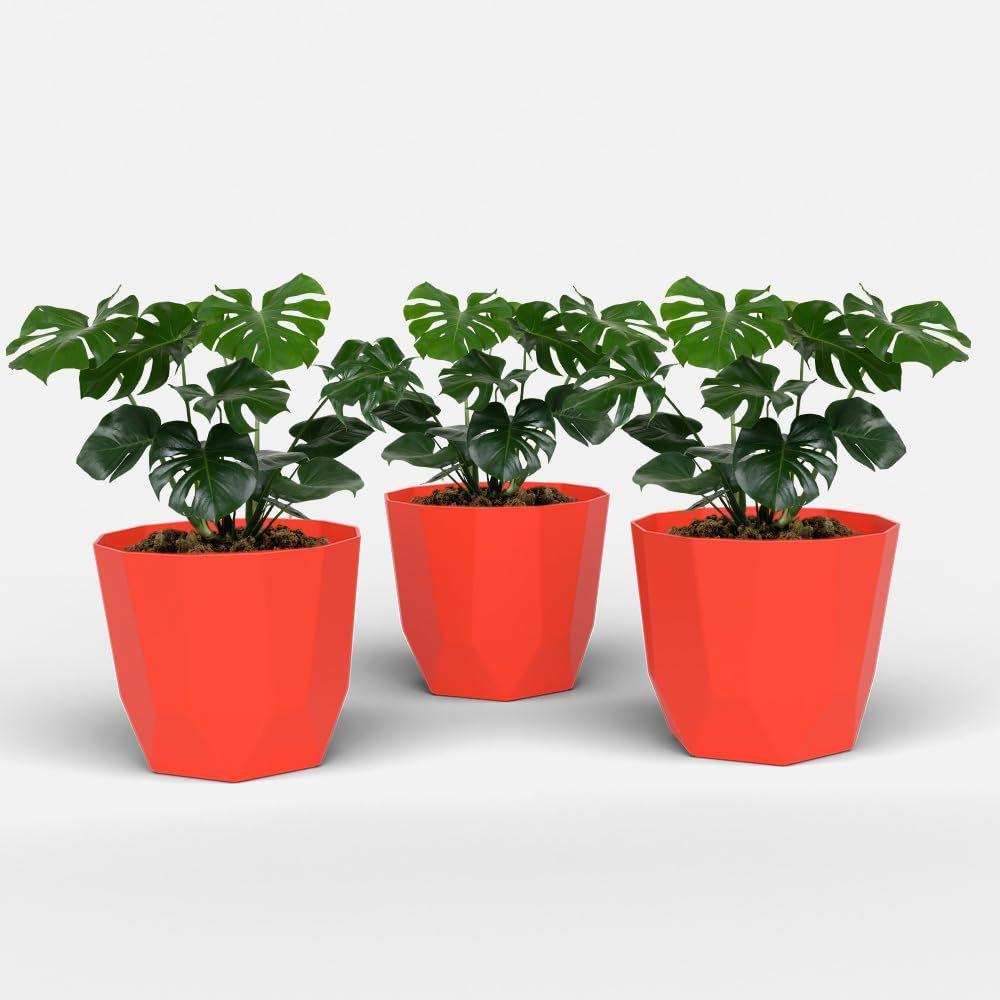 Hexa 6 Inch Pack of 3 Piece Plastic Plant Pot for Home Decor Indoor Plant Pots for Living Room Plastic Flower Pot for Garden (Red)