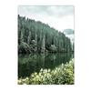 Nordic Green Forest Grassland Lake Landscape Poster Valley Path Boat Wall Art Canvas Painting Pictures Living Room Home Decor