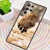 Wild Boar Pig Brown TPU Phone Case For Samsung Galaxy note 10 pro S26 S25 S24 S23 S22 Ultra Plus S21 FE S20 Shockproof Cover