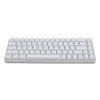 68 Keys Wired Keyboard with Red Switches Ice Blue Backlight 20 Lighting Modes Mechanical Gaming