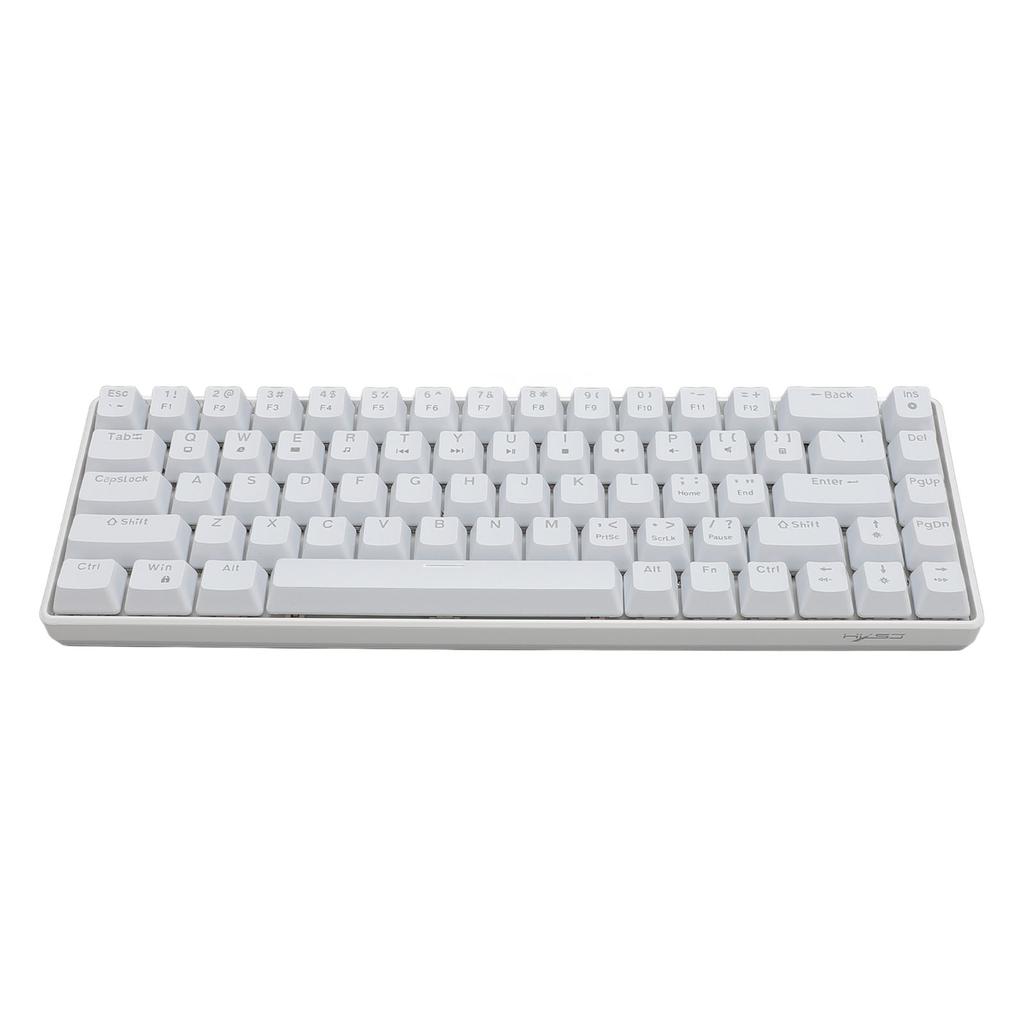 68 Keys Wired Keyboard with Red Switches Ice Blue Backlight 20 Lighting Modes Mechanical Gaming