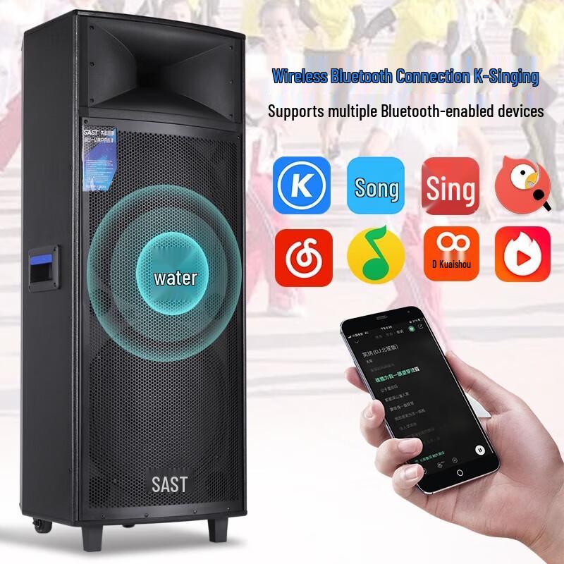 SAST ST-1507 Dual 15-inch Outdoor Trolley Speaker with Dual Microphones