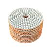 10cm Diamond Polishing Pads for Stone & Terrazzo (300 Grit, 10-Pack)