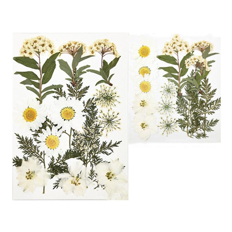 4 Inch 6 Inch Diy Glass Photo Frame Handmade Creative Simple Dried Flower Picture Frame Minimalist