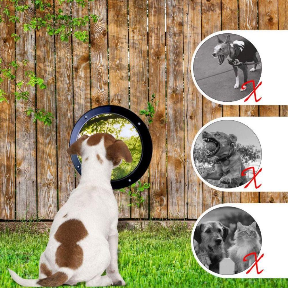Acrylic Dog Fence Window Transparent Dog Window Practical Pet Peek Window  Kitten