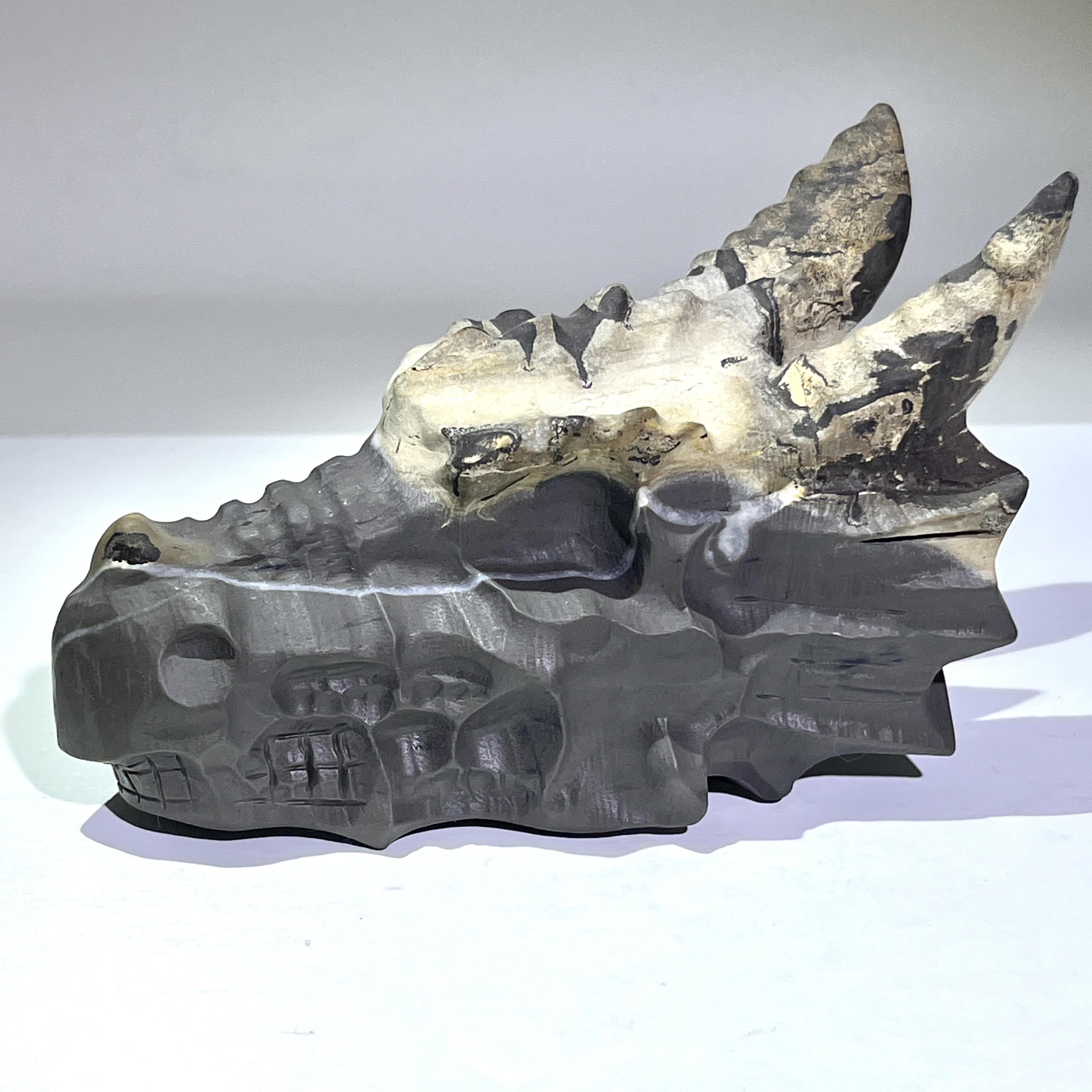 High Quality Natural Healing Crystal Dragon Head Picture Jasper Carving Crafts for Fengshui Ornament about 12cm