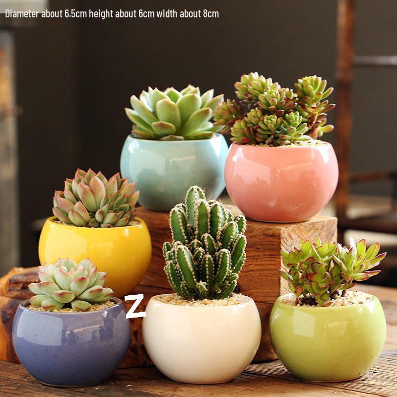 Breathable Ceramic Indoor Succulent Planter Set - Creative Small Flower Pots