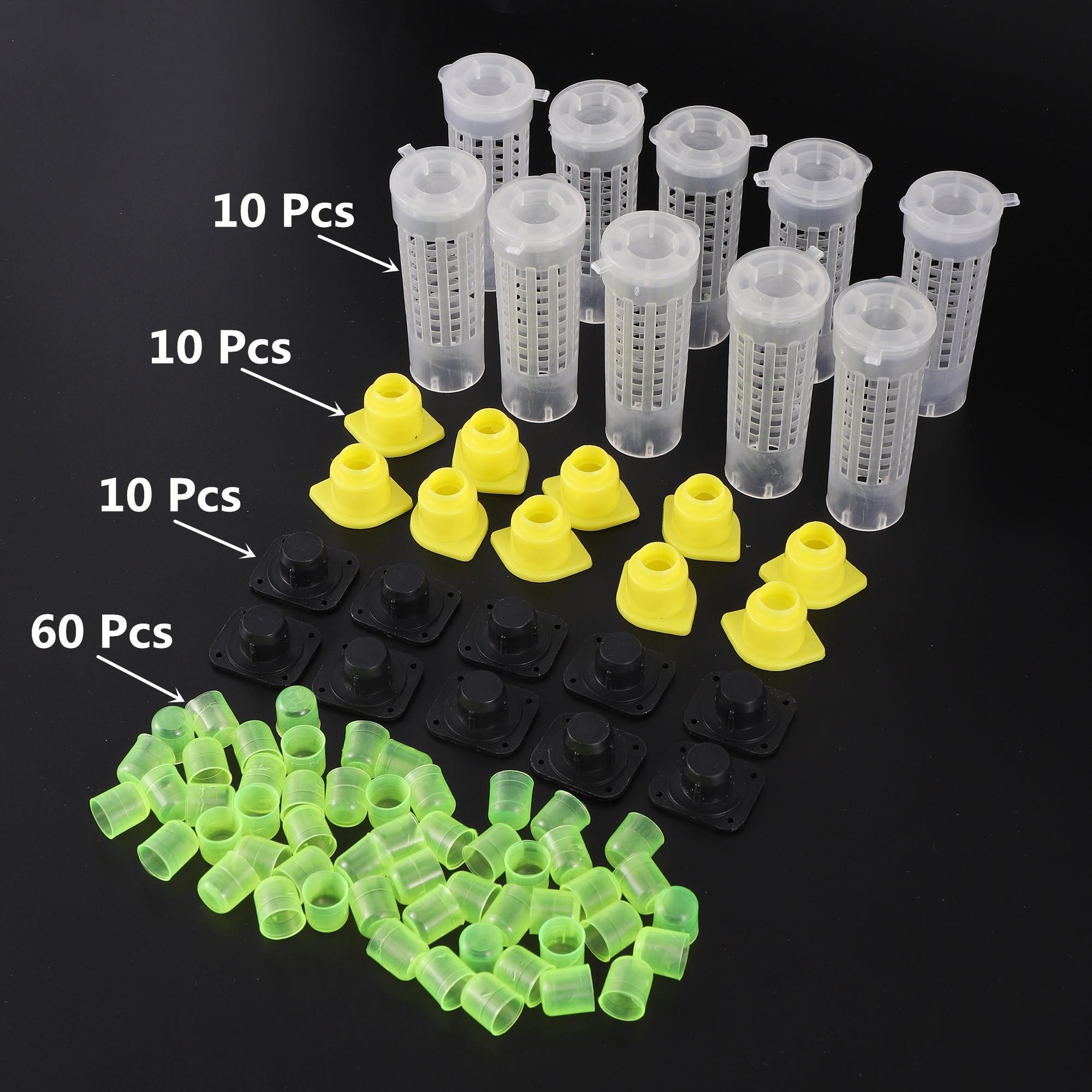 

1 Set Beekeeping Cages King Queen Rearing System Plastic Bee Catcher Box Cell Cups Complete Kit Apicultura Tools Supplies