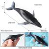 Children's Marine Animal Toy Set: Megalodon, Beluga, Octopus, Turtle, Dolphin & Manta Ray