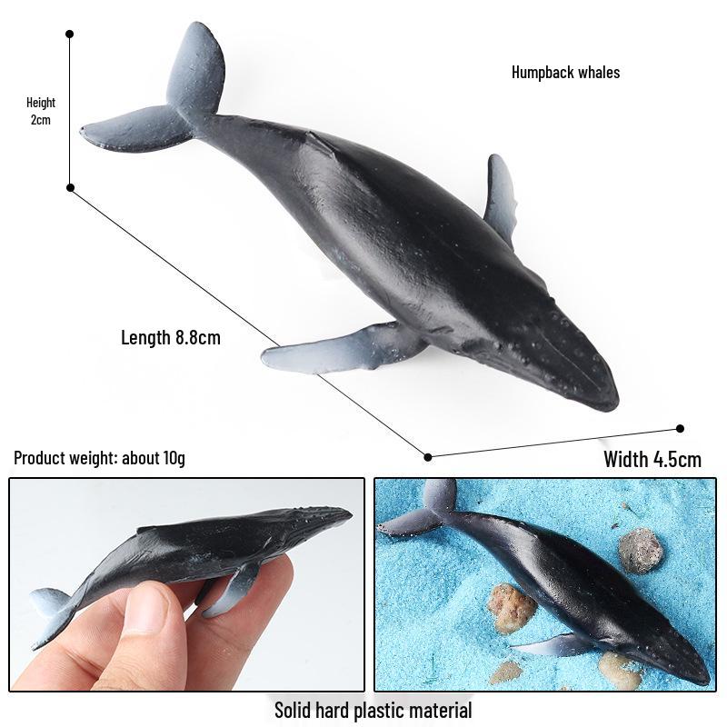 Children's Marine Animal Toy Set: Megalodon, Beluga, Octopus, Turtle, Dolphin & Manta Ray