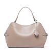 Temperament Fashion Women's Bag New Niche Design Handbag Women's High-end Sense Versatile Shoulder Messenger Bag