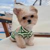 Lightweight Pet Dog Vest Small Breed Outfit Maltese Teddy Bichon Pomeranian