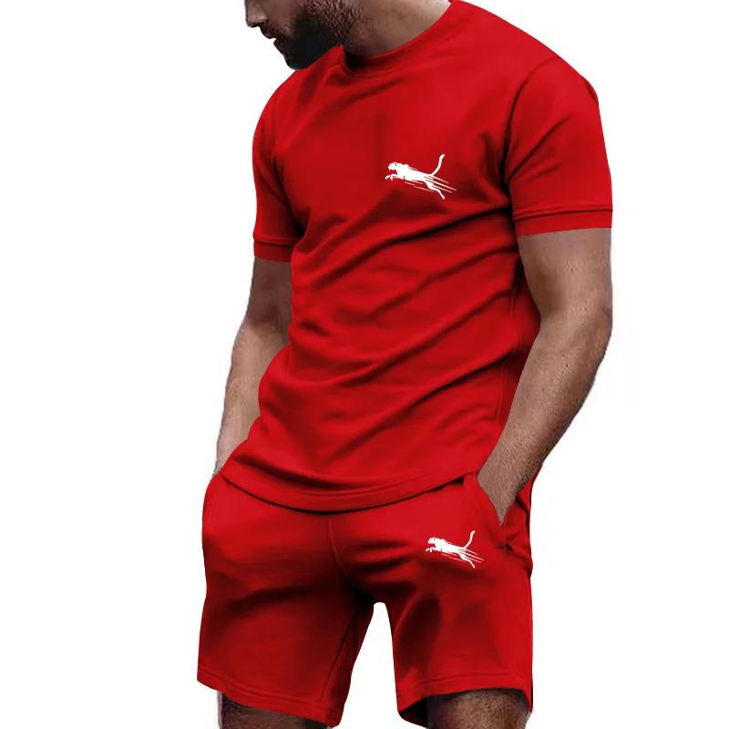 Zomerpak Sportkleding Heren Fitnesspak Sportpak T-shirt met Korte Mouwen + Korte Broek Sneldrogend 2-delige Sets