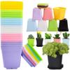 14/28 Stück Mini Kleiner Quadratischer Blumentopf Gartenbau Sieben Farben Blumentopf Sukkulententopf Kleiner Schwarzer Quadratischer Plastiktopf Anzuchtschale