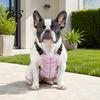 Cooling Harness for Dogs Dog Vest, Breathable Coat with Gel Ice Packs, Summer Wrap Pet Jacket Large Medium Small Based Vest Pets