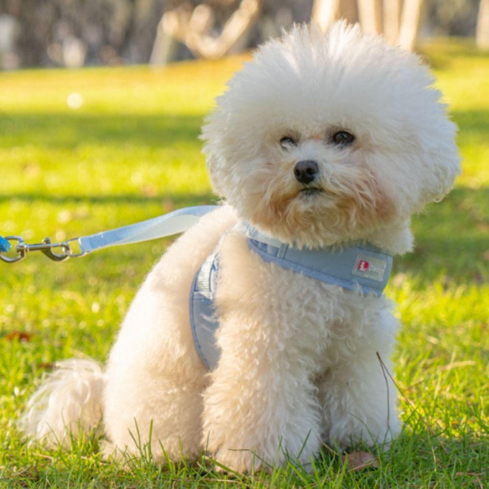 Comfortable Dog Leash Breathable Puppy Chest Strip Pet Waist Belt Dog Walking Rope  Outdoor Walking