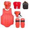 Dracula MMA & Kickboxen Schutzausrüstungsset