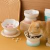 Slanted Dog Food Bowl High Foot Pet Drinking Bowl Snack Bowls Ceramic Cat Bowl  For Cats Dogs