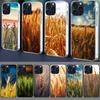 Huse pentru telefoane – Huse tip bumper pentru telefon