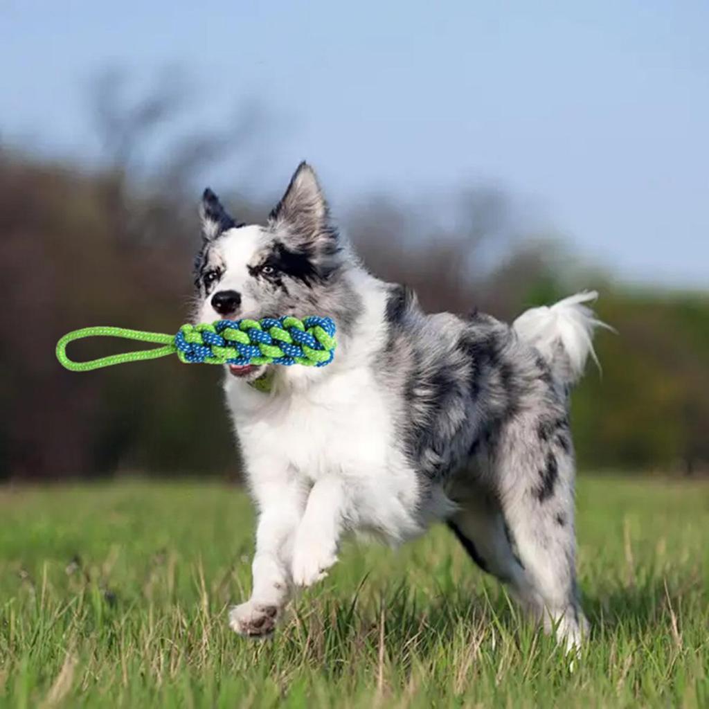Interactive Dog Teething Toy: Tug-of-War Rope with Bite Ball and Night Light, for Indoor or Outdoor Play