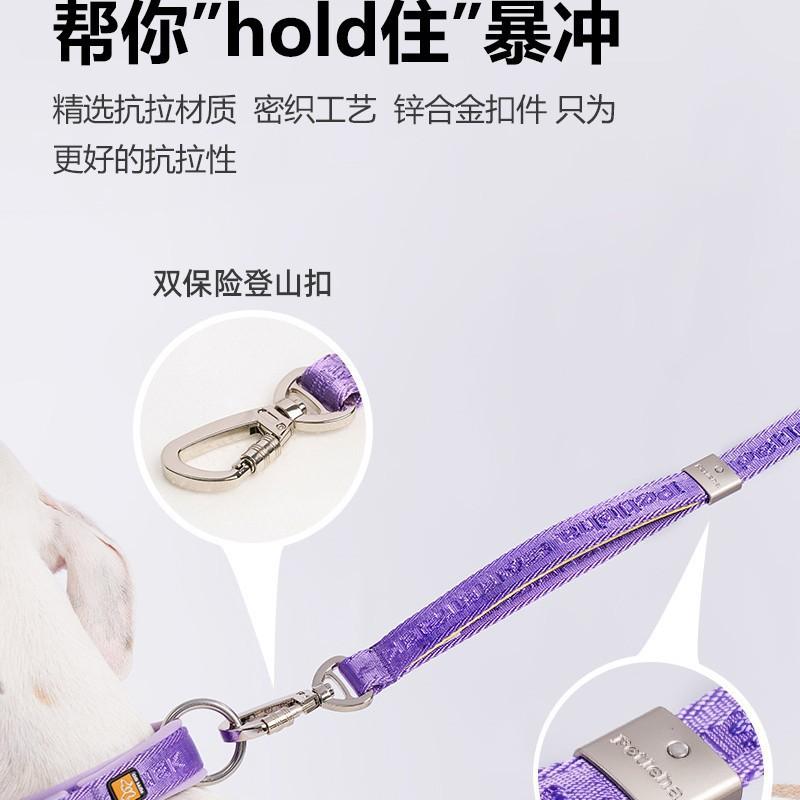 Dog Leash No Hand Chafe Small Large Dogs Pet Walking Lead S M Length Options