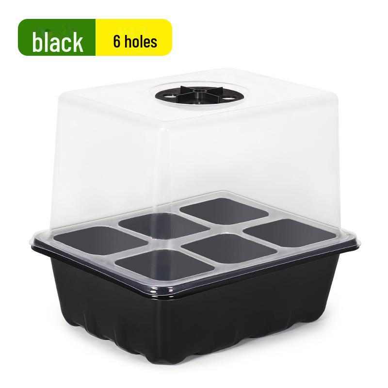 Heightened Seedling Box with Cover - 6/12 Holes, 3-Piece Set for Succulents & Vegetables