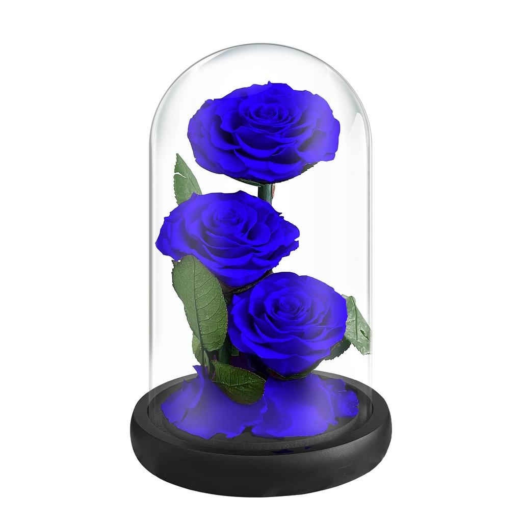 Luckystar Beauty and The Beast Handmade preserved flowers made with real never eternal 3 blooms in a glass gift perfect for anniversary or as a gift