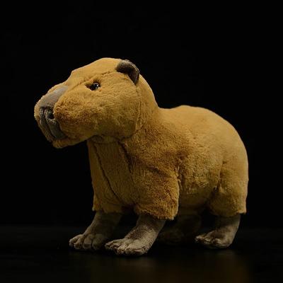 22 cm di Altezza Capibara Realistico Peluche Giocattoli Capibara Carino Vita Reale Peluche Regali di Compleanno Natale Per Bambini