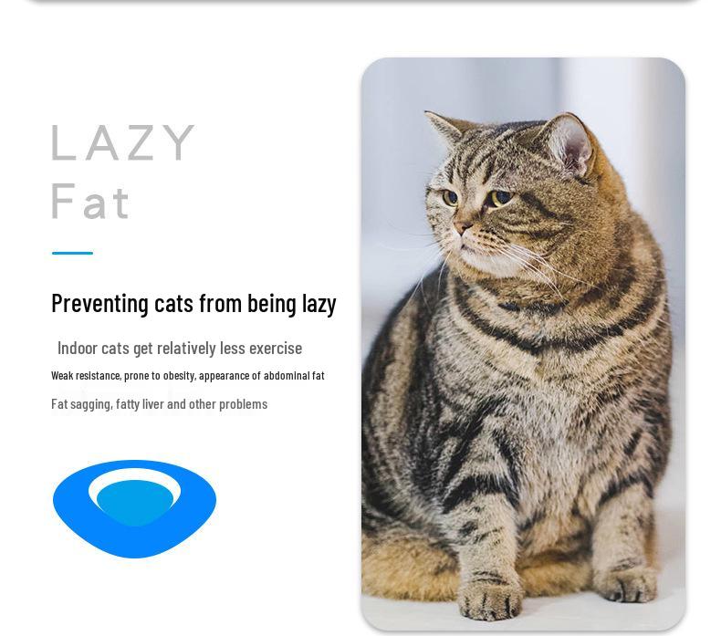 Elektrisches Haustierspielzeug-Set: Hundezahnbürste, Mikro-Insektenhüpfer, Elektronische Maus und Mechanischer Katzen-Teaser