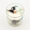 Agnes + Cat Botanical Soy Wax Candle – Seasalt & Moss