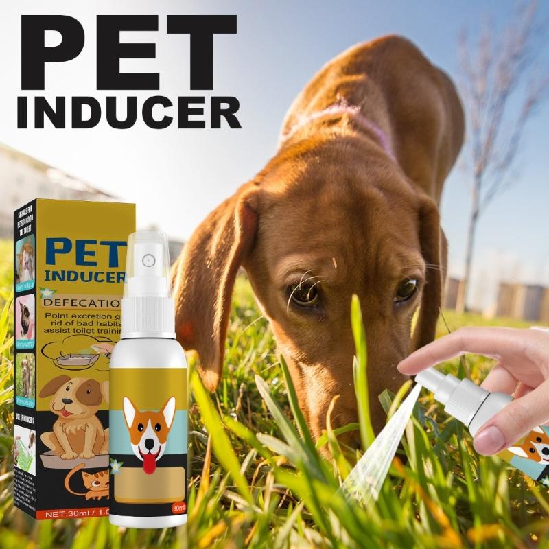 Pet Go Here Potty Training Crap Spot Trainer for Pet Safety Designated Toilet Training Pet Excretion