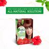 Henna Haarfarbe - Burgunder 2er-Pack - Vatika Naturals - Bordeaux 3.6 Farbe