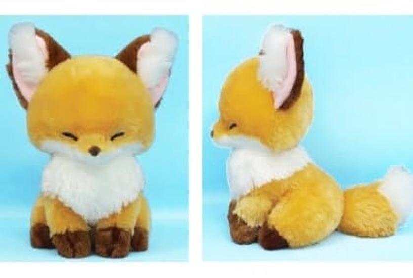 Amuse Chokon and the Fox JB Kinako Plush Approximately 28cm 703869 (Orange) Toy, Tall,
