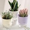 Self Watering Plant Pot Orchid Planter with Wick Ropes Flower Pot with Drainage Holes Transparent Water Reservoir for Indoor Plants Home Office Decor